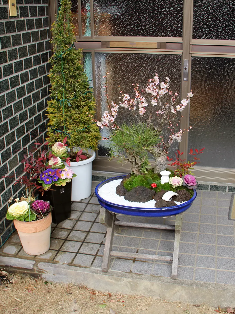 松竹梅の寄せ植えが大好きです。｜園芸日記bykakip-ken｜みんなの趣味