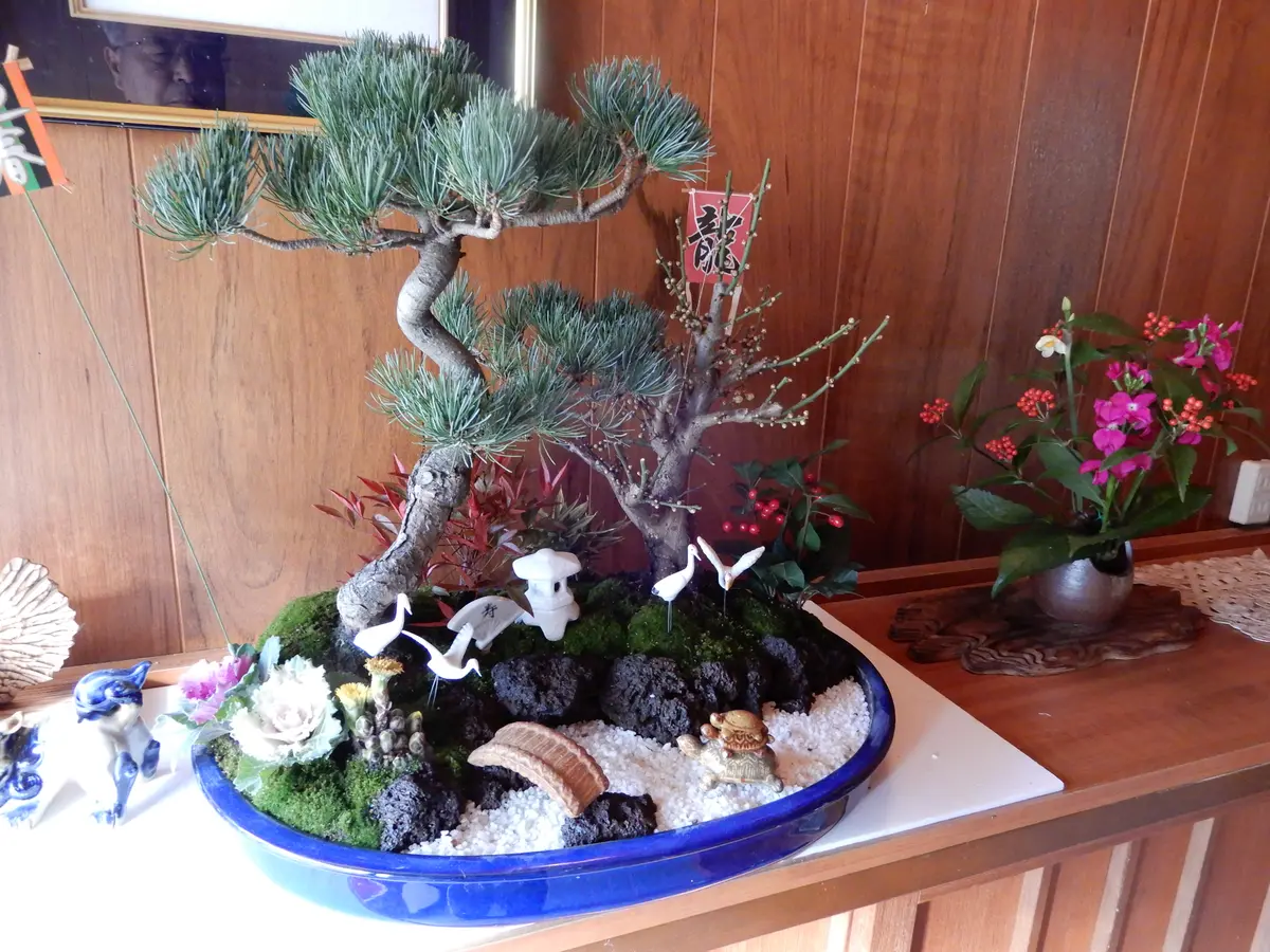 松竹梅の寄せ植えが大好きです。｜園芸日記bykakip-ken｜みんなの趣味 