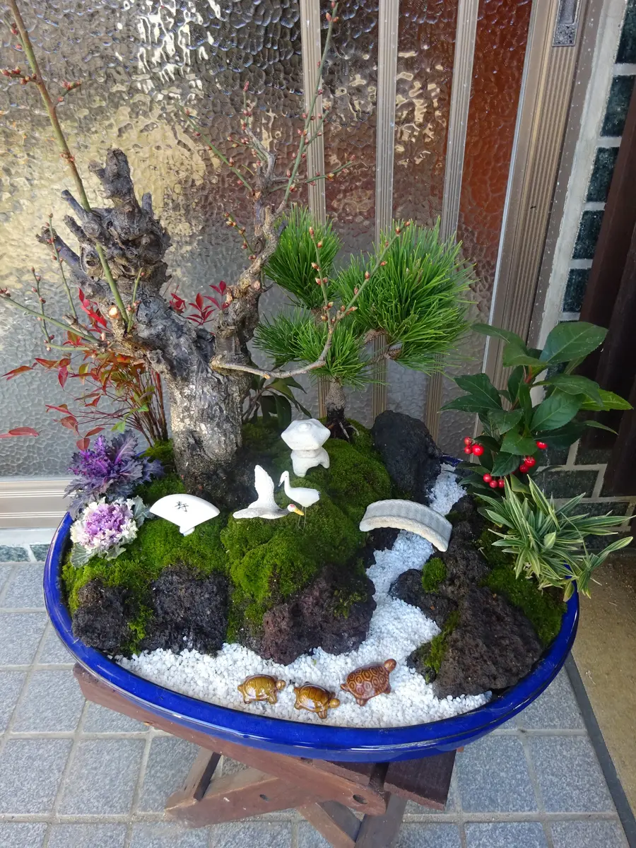 松竹梅の寄せ植えを頑張りました。｜園芸日記bykakip-ken｜みんなの