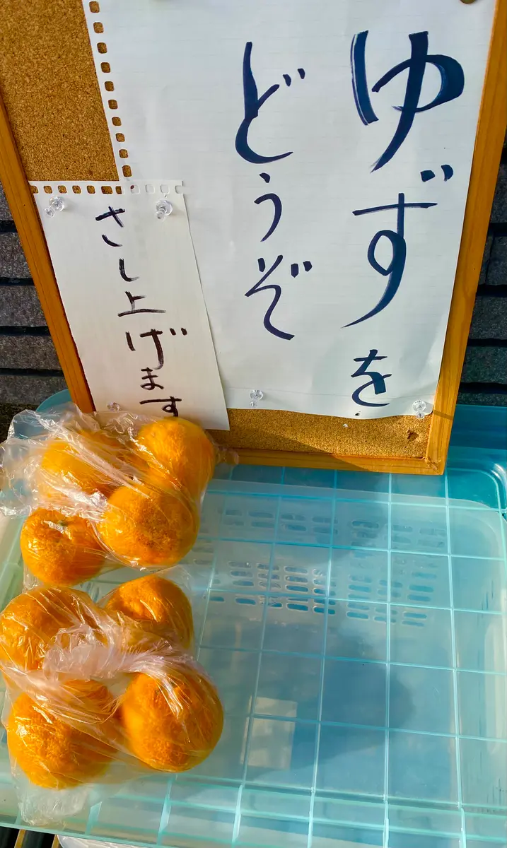 思い切って、ゆずを並べた😄｜園芸日記byミャーママ｜みんなの趣味の