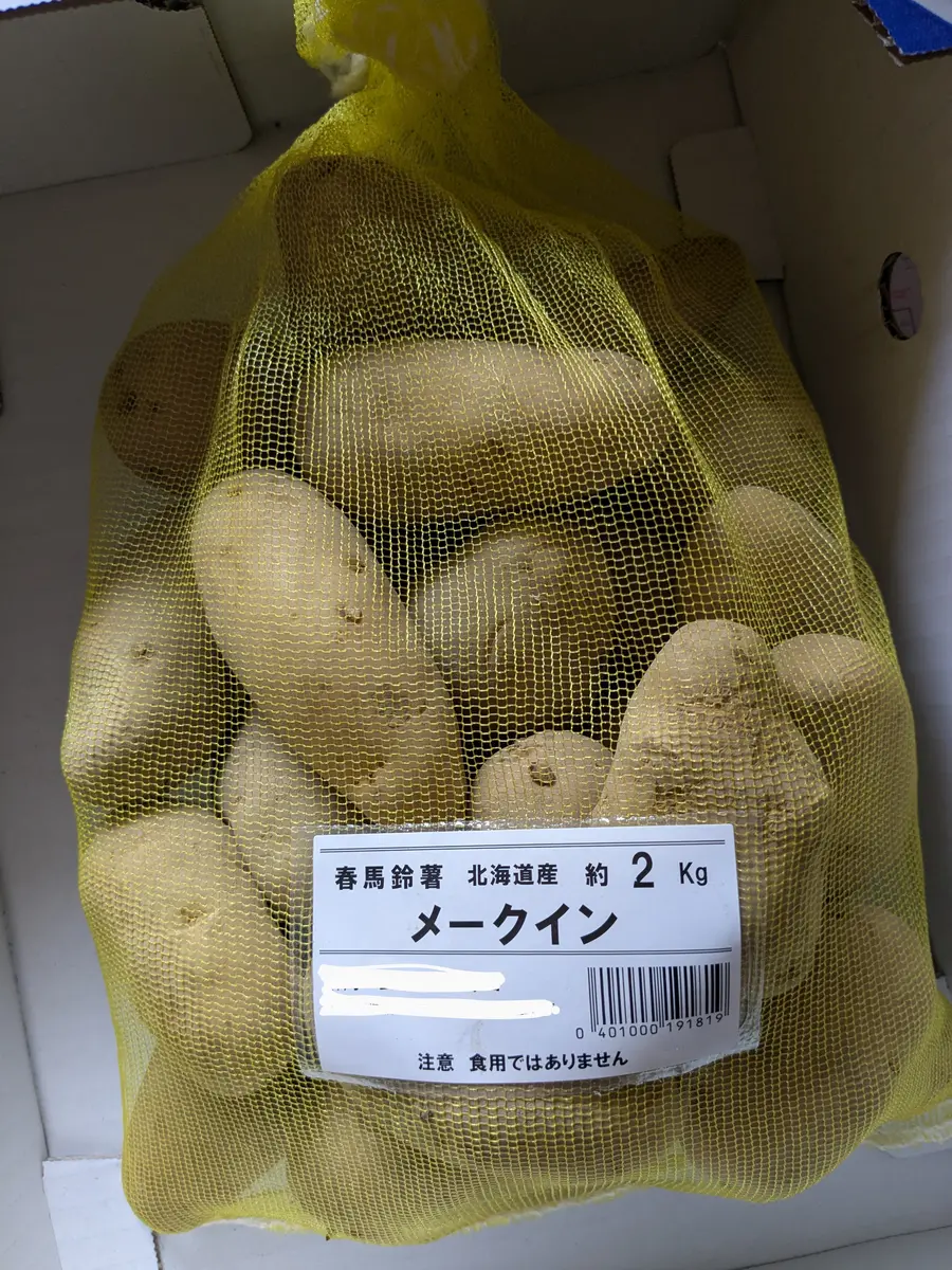 畑通信：番外編 春ジャガの種芋は買ったけど｜園芸日記byとまトマトん