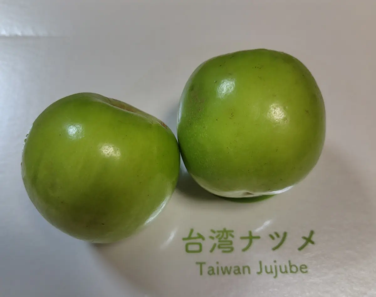 青リンゴ｜園芸日記byおじさんの家庭果樹園｜みんなの趣味の園芸｜1292611