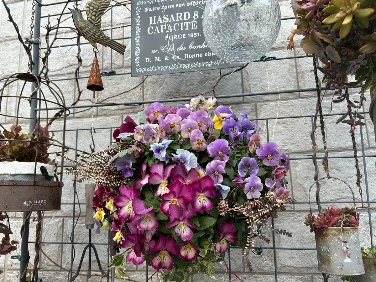 ふんわりすみれ色スターチスのオーパルリースミモザの蕾