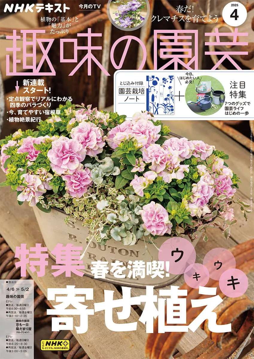 本まとめ売り 趣味の園芸 食彩浪漫 今日の健康 他 みんなの趣味の園芸スタッフさんの園芸日記-みんなの趣味の園芸