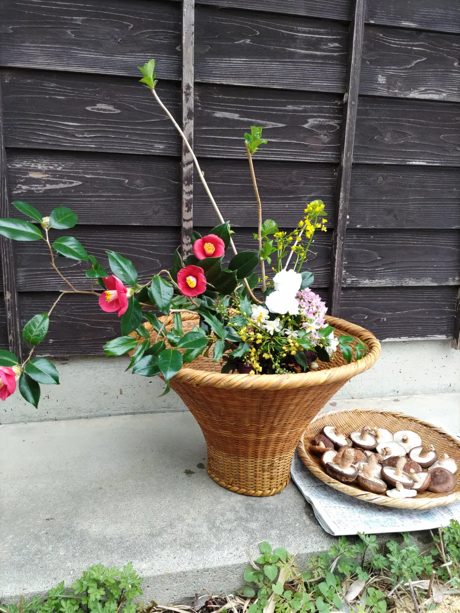 ミユタン様 花束3種】 誰が何に使っていたのだろう🌿｜