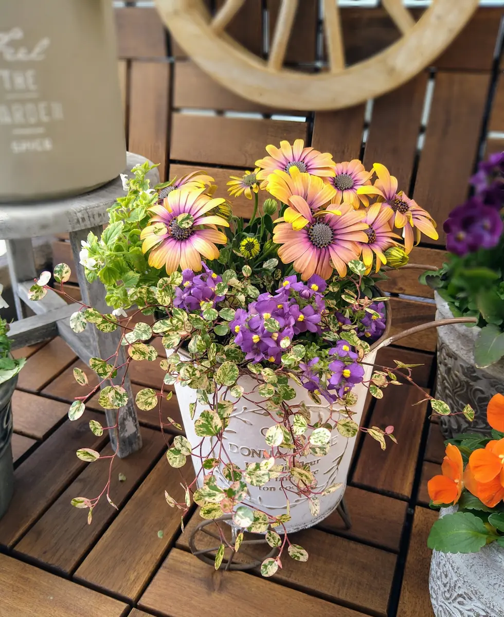 ゆとり炉 一輪挿し のそき見シリーズ 猫 【公式通販】