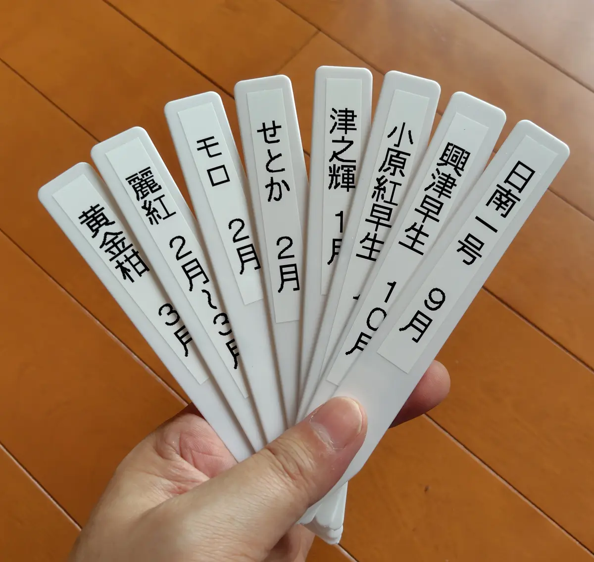 今日の作業など|園芸日記byおじさんの家庭果樹園|みんなの趣味 今日の作業など|園芸日記byおじさんの家庭果樹園|みんなの趣味