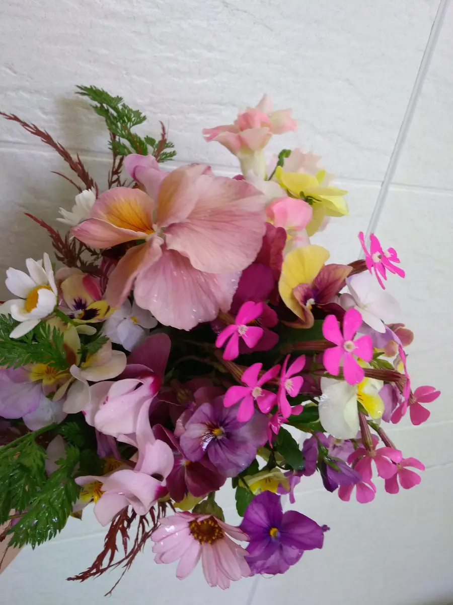 【数々のアワードを受賞】 庭の花のブーケ｜園芸日記byusako2022｜みんなの趣味の園芸｜1318343 絵画