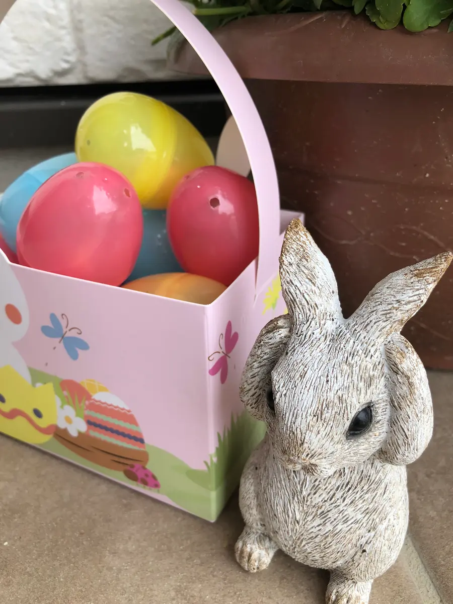 🐇ハッピーイースター🐣｜園芸日記byあきひめ｜みんなの趣味の