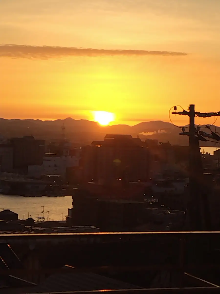 今日は日の出が昇りました🌄｜園芸日記byjictenko｜みんなの趣味の園芸
