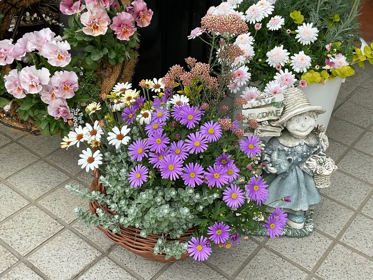 春の寄せ植えとムスカリ｜園芸日記byゆみ⭐︎ひまわり｜みんなの趣味の