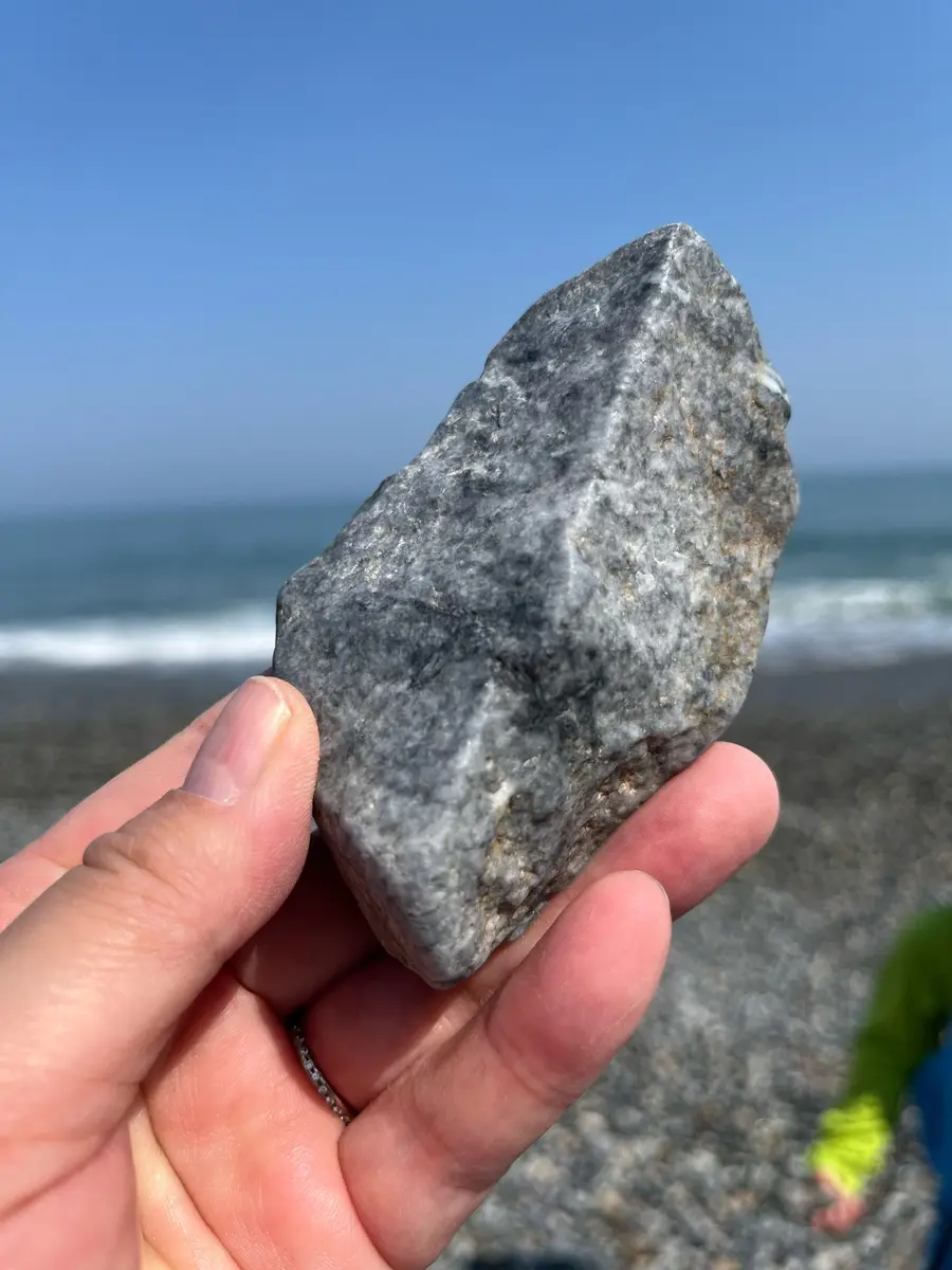 黒翡翠get!!｜園芸日記by水色の木｜みんなの趣味の園芸｜1325151