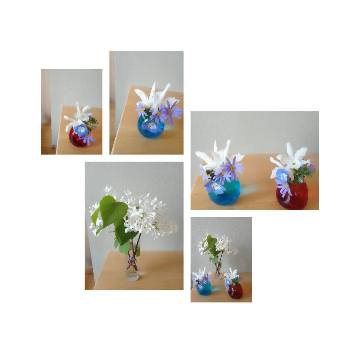 庭の花を飾る(*´▽`*)｜園芸日記byカシワバアジサイ｜みんなの