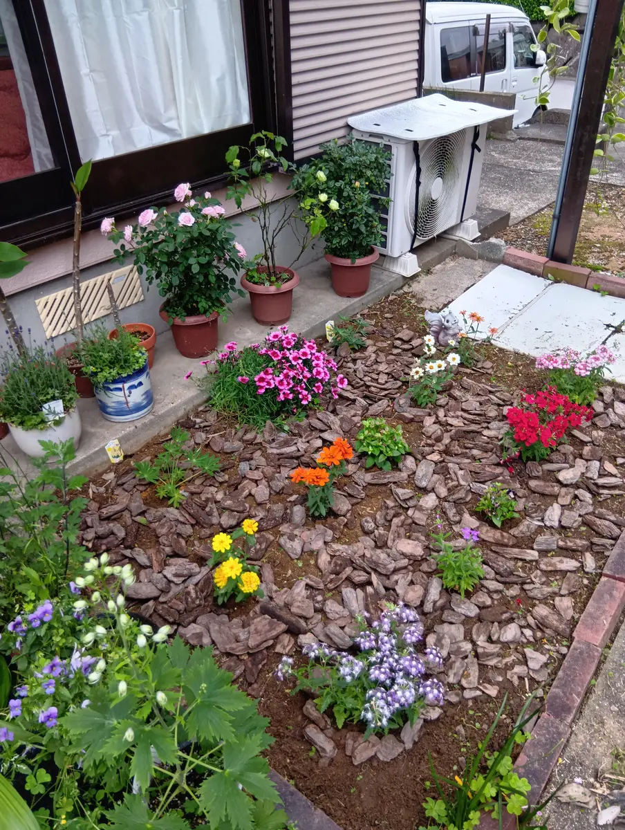 夏 の 花壇