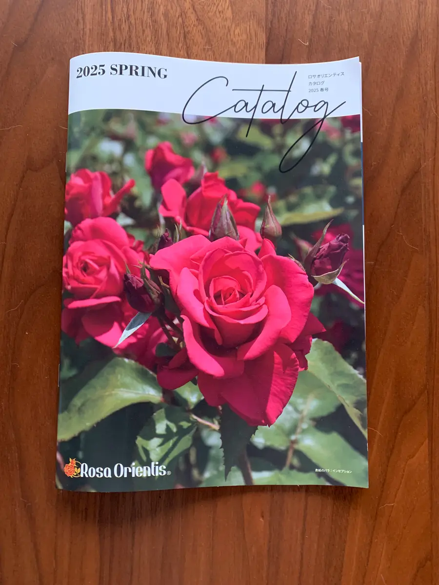 img_cache_d_1331528_1_17473053