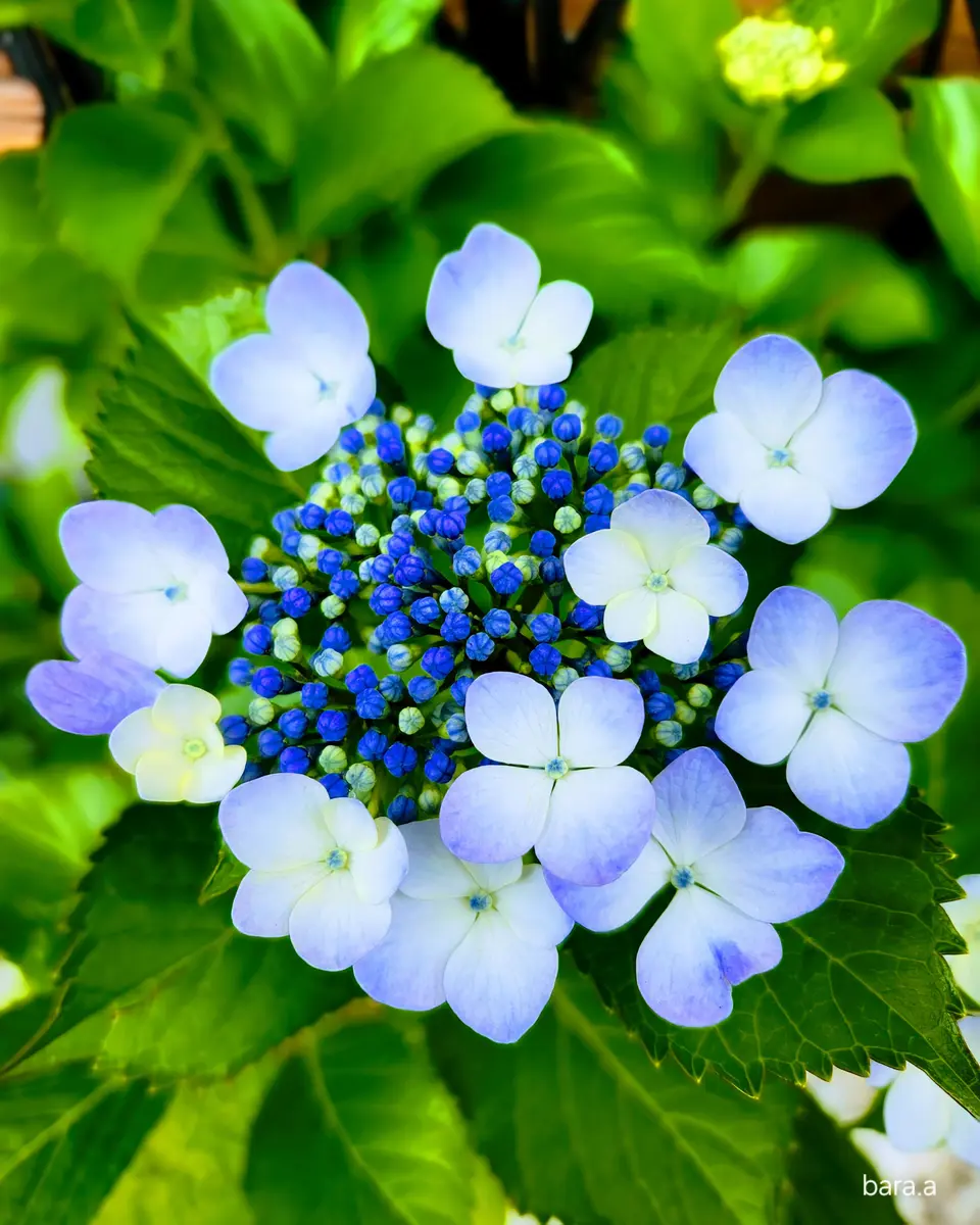 みむ　薔薇のアレンジと小鳥の語らい　シーグラス／天然石／花／ブーケ／鳥 みむ様専用 薔薇のアレンジと小鳥の語らい シーグラス／天然石
