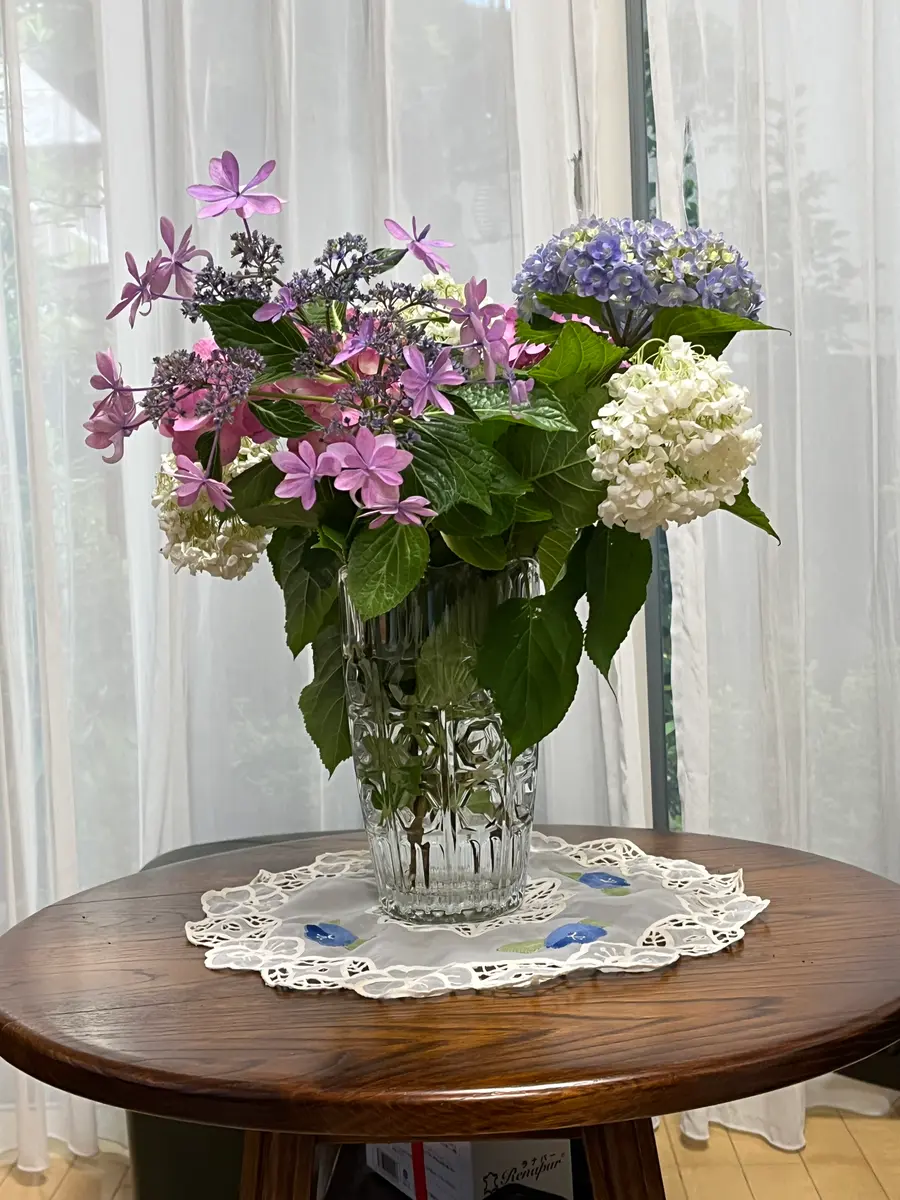 ヤトッチ　紫陽花の花びら 道端の紫陽花: Quark Kenzo の つれづれ日記