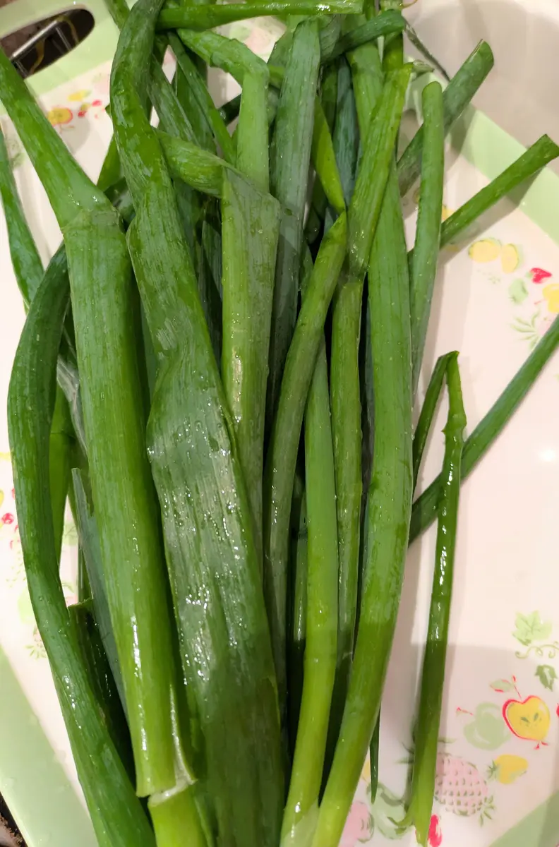 特産野菜70種 野菜園芸大百科 第2版 第20巻 特産野菜70種』農文協編 - 田舎の