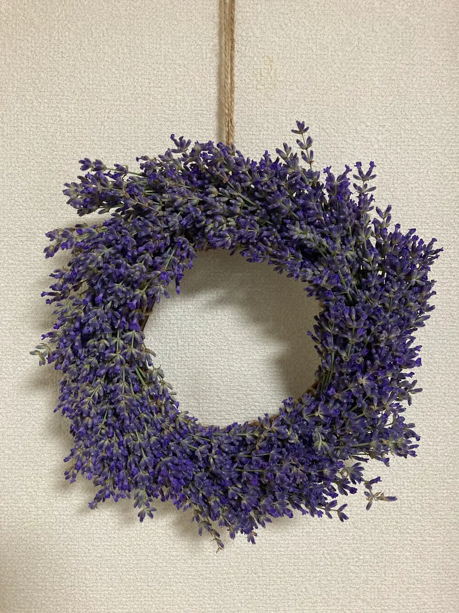 ラベンダー🪻🟣リース｜園芸日記by水色ガーデン｜みんなの趣味の園芸
