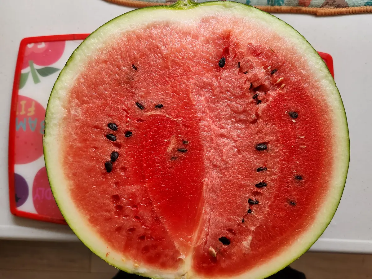 スイカの話 /初収穫した大玉スイカ「タヒチ」をカット ❕｜園芸