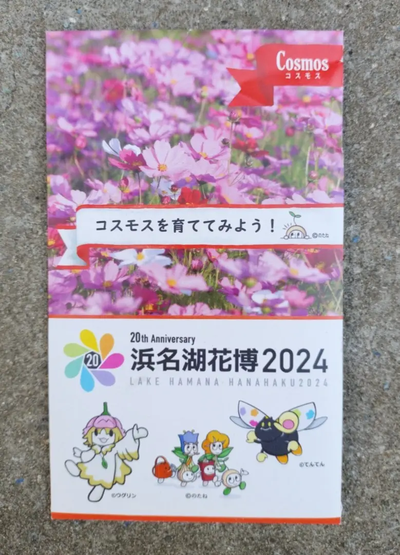 コスモス種まきと危機的状況の宿根草｜園芸日記bytix｜みんなの趣味の