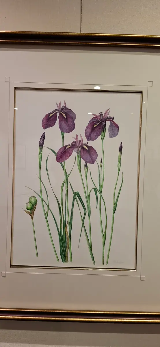 油絵　あらんぼん　小さな植物の中心部の世界　ボタニカルアート　ポップアート 油絵 あらんぼん 小さな植物の中心部の世界 ボタニカルアート