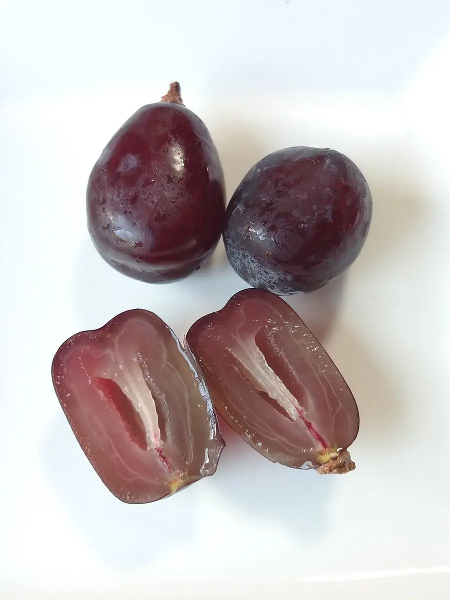 🍇ブドウ試食【富士の輝】（ふじのかがやき）｜園芸日記bymtaka