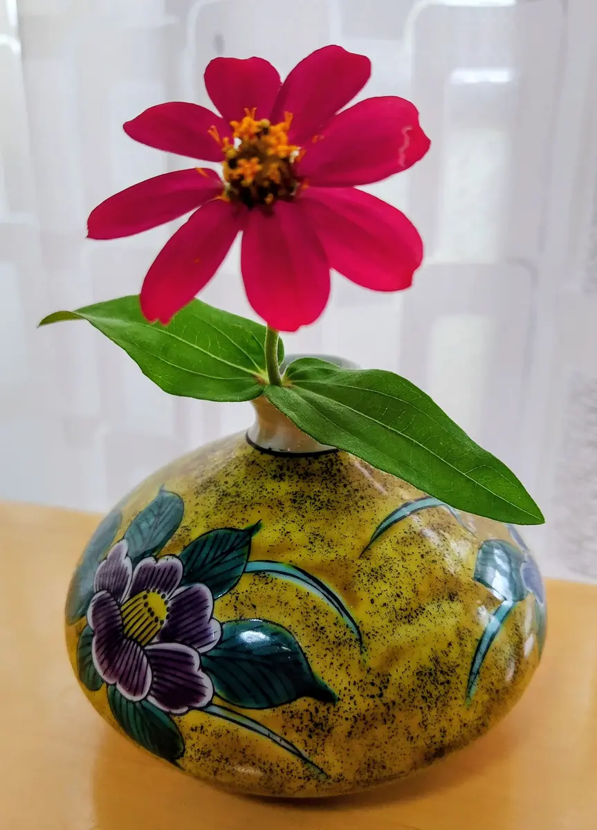 ジニアの一輪挿し｜園芸日記byハオルチア好き｜みんなの趣味の園芸