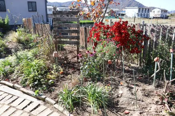 確認画面　ここで頂いた籠に　庭のカサブランカを。。。至福の時です！ 確認画面 ここで頂いた籠に 庭のカサブランカを。。。至福の時です！