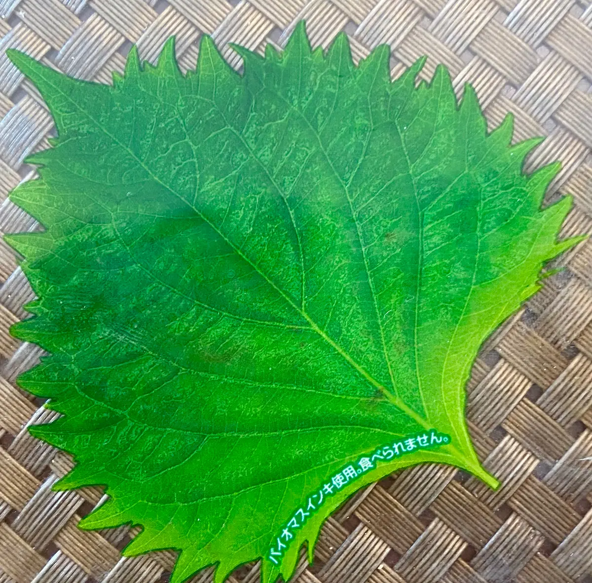 ニセモノのシソの葉💦 ダイアモンドリリー💓｜園芸日記byミャーママ