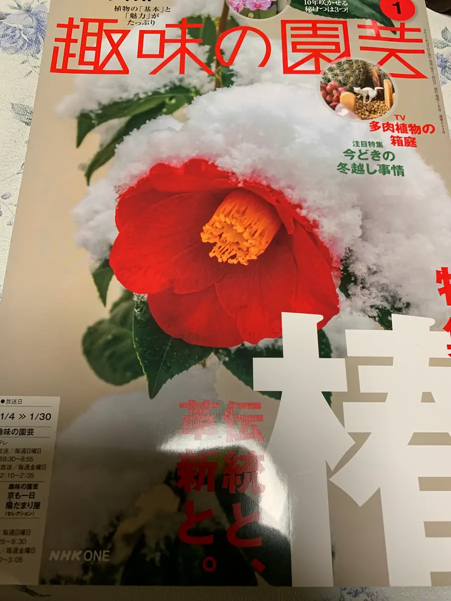 椿 さま 専用ページ 四季の草花ふすま紙 椿 襖紙 92cm×182cm 2枚入り FLW-5F 水貼りタイプ