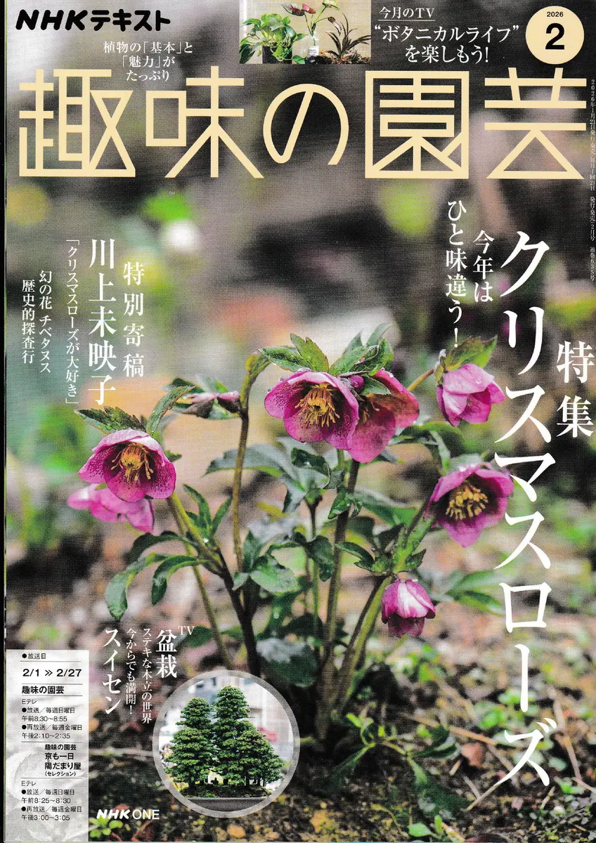 趣味の園芸2月号はクリスマスローズ特集‼〔写真1枚目〕-野々口稔さんの