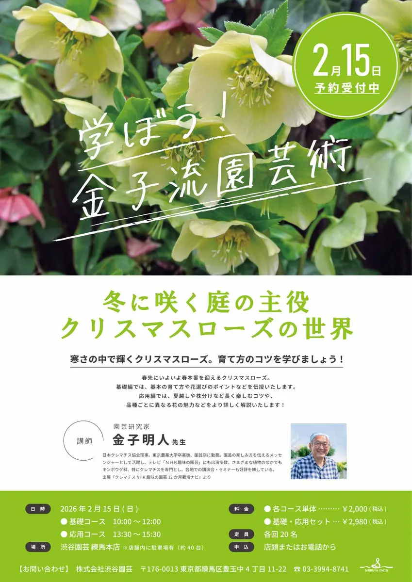 金曜日まで！値下げ！春爛漫♪♪クリスマスローズ5個セット 渋谷園芸で講習会｜園芸日記by金子 明人｜みんなの趣味の園芸｜1414577