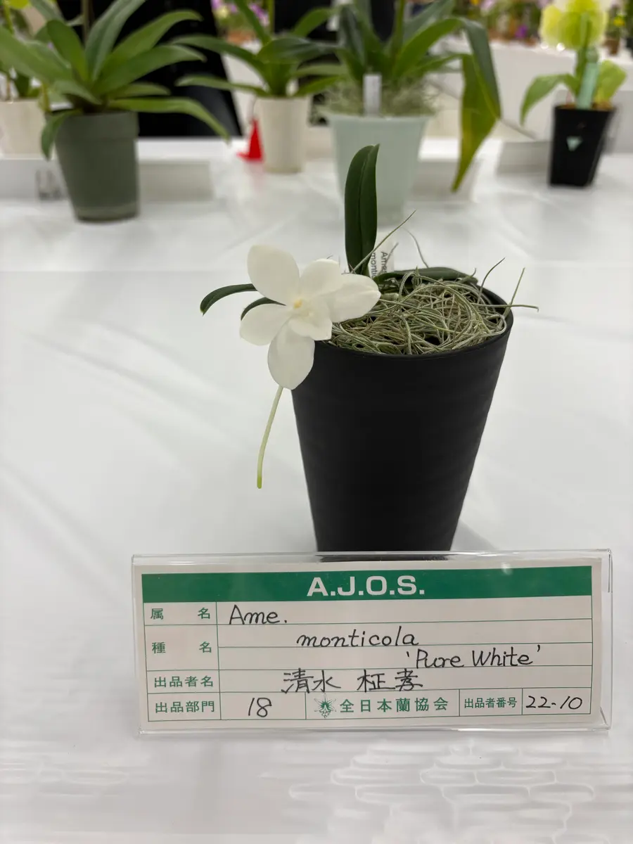 花はなくても｜園芸日記byまめかん｜みんなの趣味の園芸｜1421135