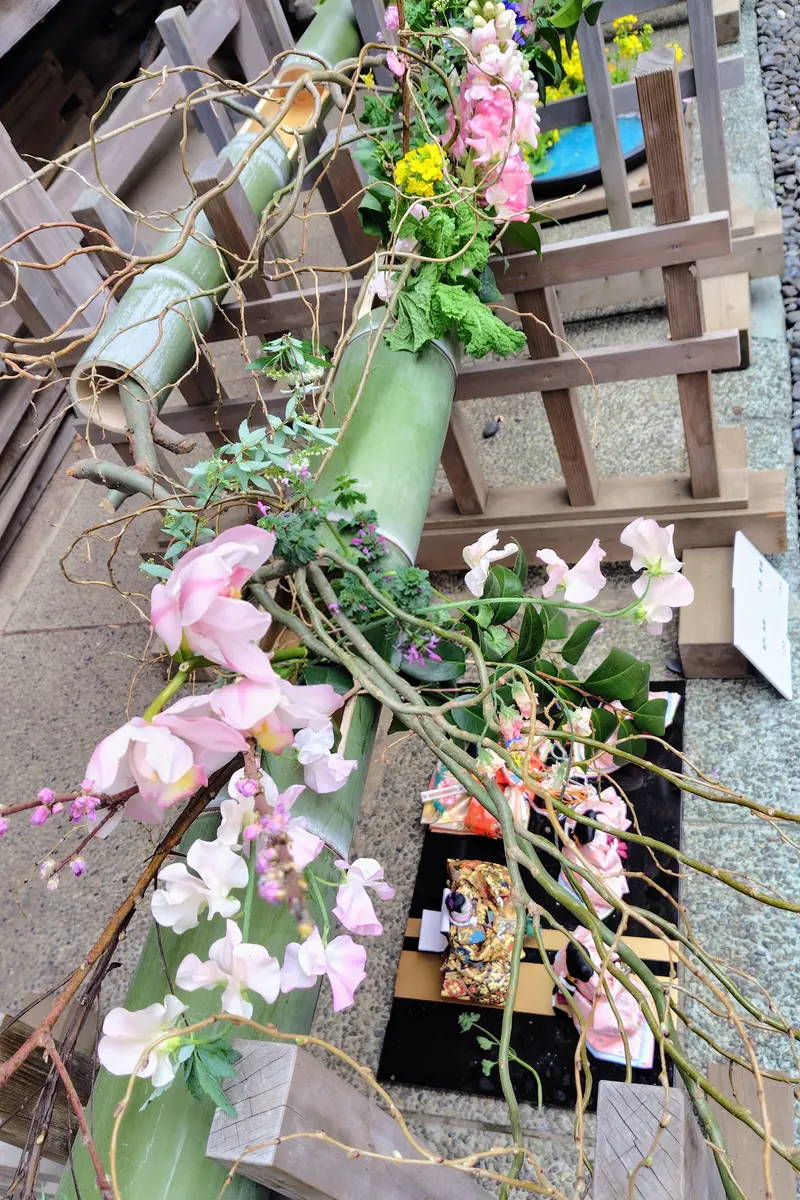 もう3月です、明日は桃の節句ですね｜園芸日記byアザラシ大好き
