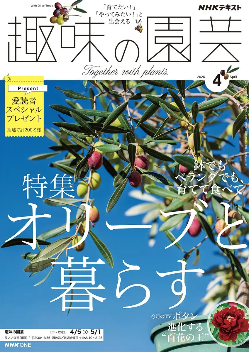 みんなの趣味の園芸スタッフさんの園芸日記-みんなの趣味の園芸