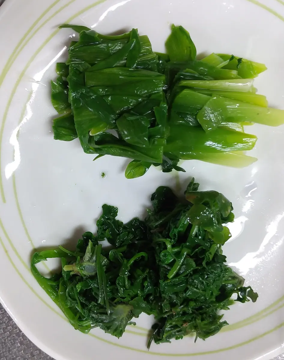 お久しぶりで～す🎵緑だけ日記🌿🌿🌿｜園芸日記byさゆはは｜みんなの