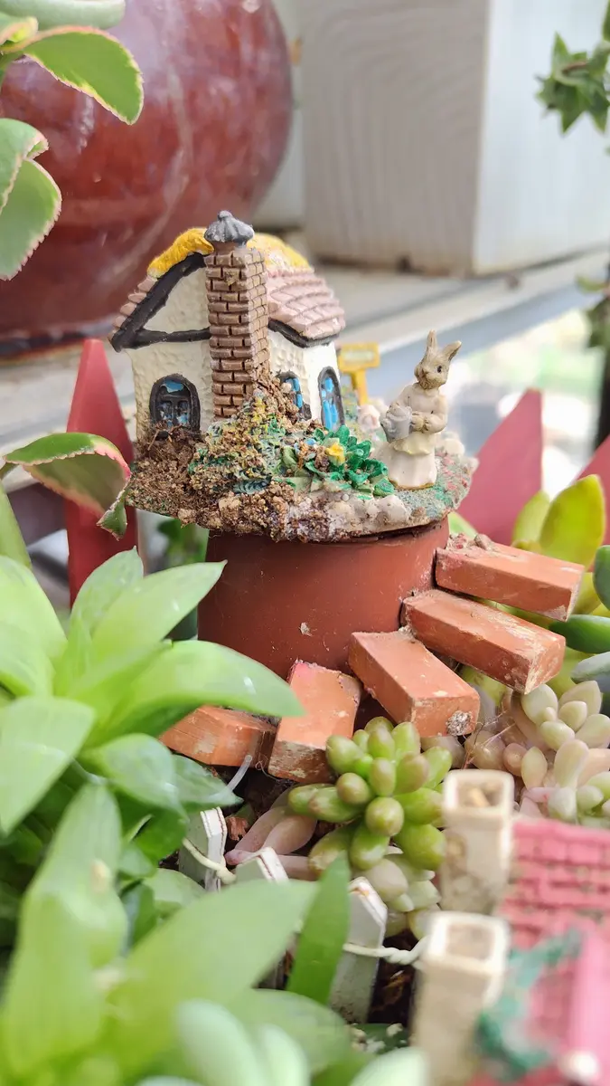 箱庭みたいな鉢庭💮🪴｜園芸日記byハオルチア好き｜みんなの趣味の園芸