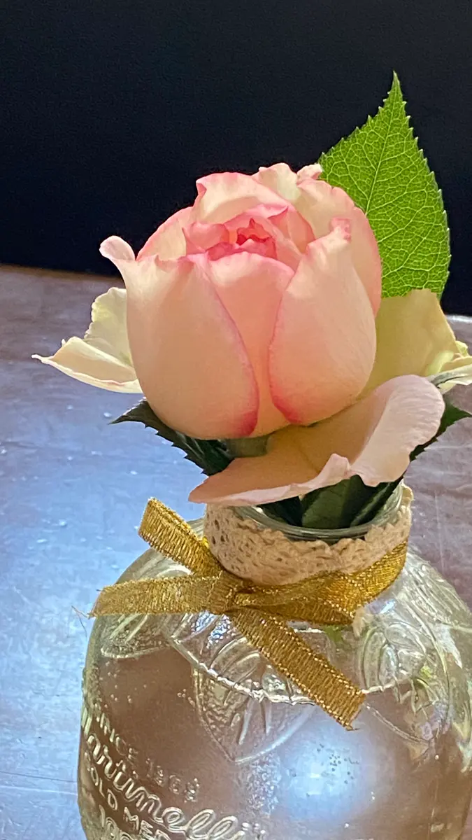 私の節句🌹✨｜園芸日記byrosewood｜みんなの趣味の園芸｜1449858