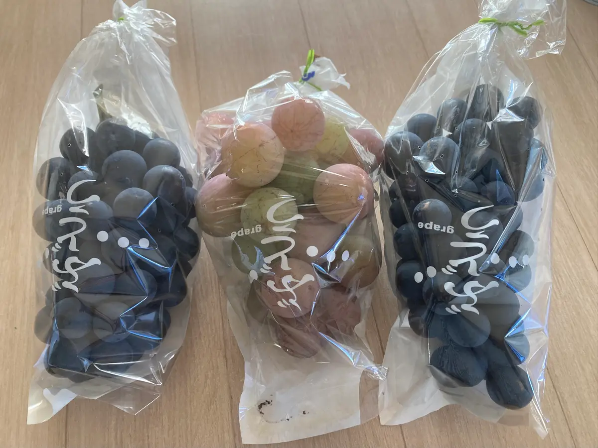 自家製ブドウ🍇｜園芸日記byくーちゃん｜みんなの趣味の園芸｜1492191