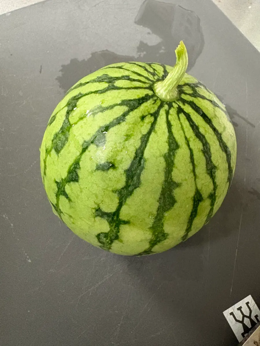 やっちまったスイカ🍉｜園芸日記byヒナコッコ｜みんなの趣味の園芸