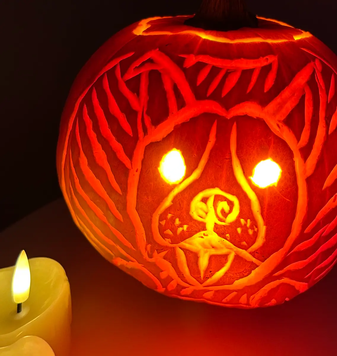 ジャック・オー・ランタン(Jack-o'-lantern)｜園芸日記bymo'mo