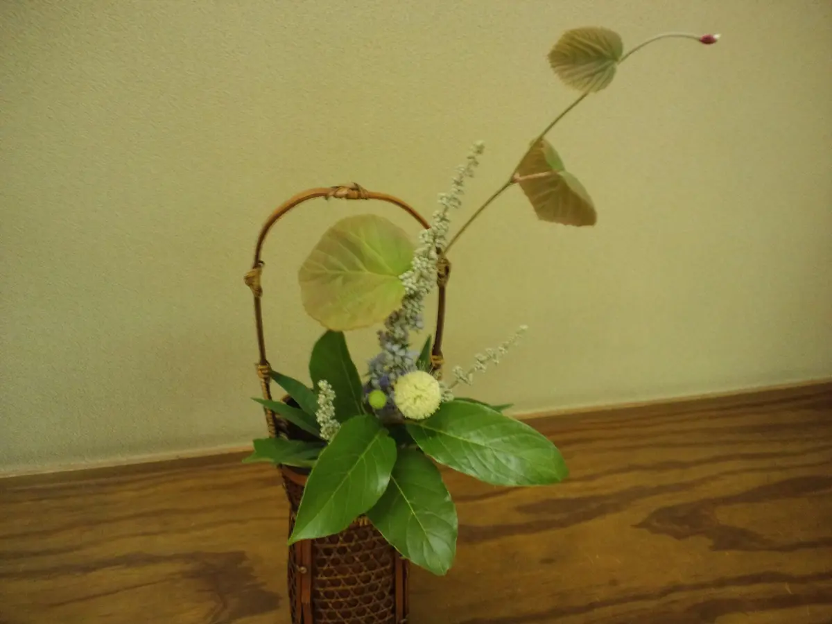 中古】 江戸千家 四季の茶花 二一五種をいれる