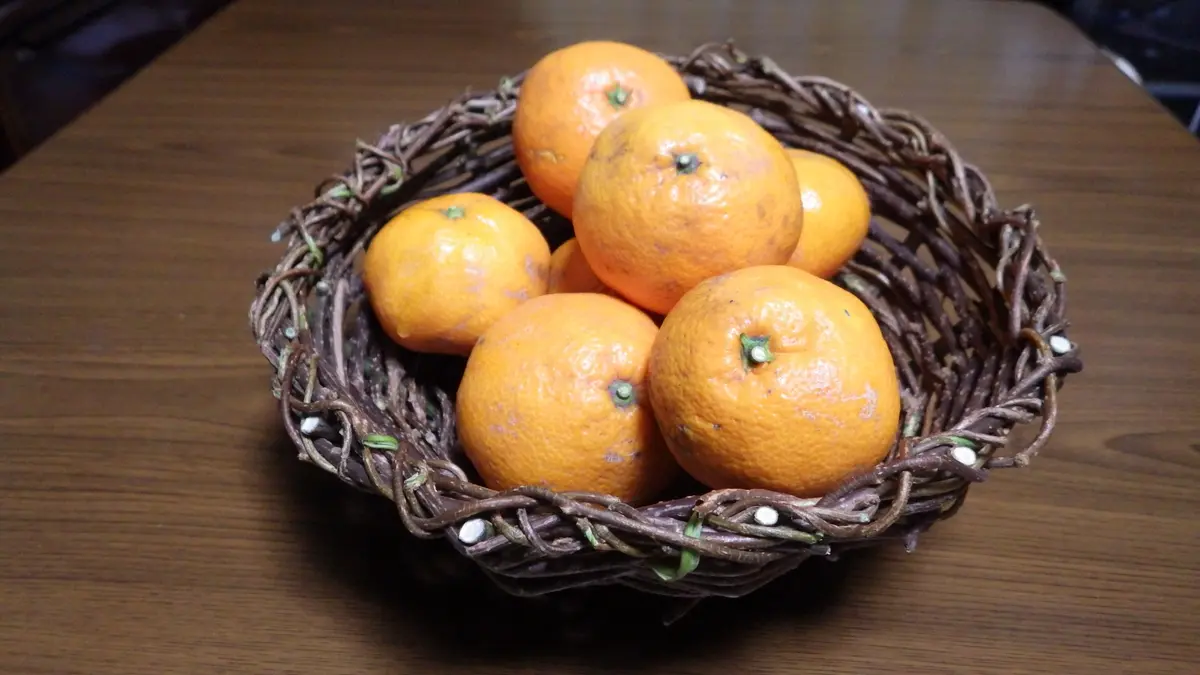 蔓で果物籠を編む｜園芸日記byお散歩カメ吉｜みんなの趣味の園芸