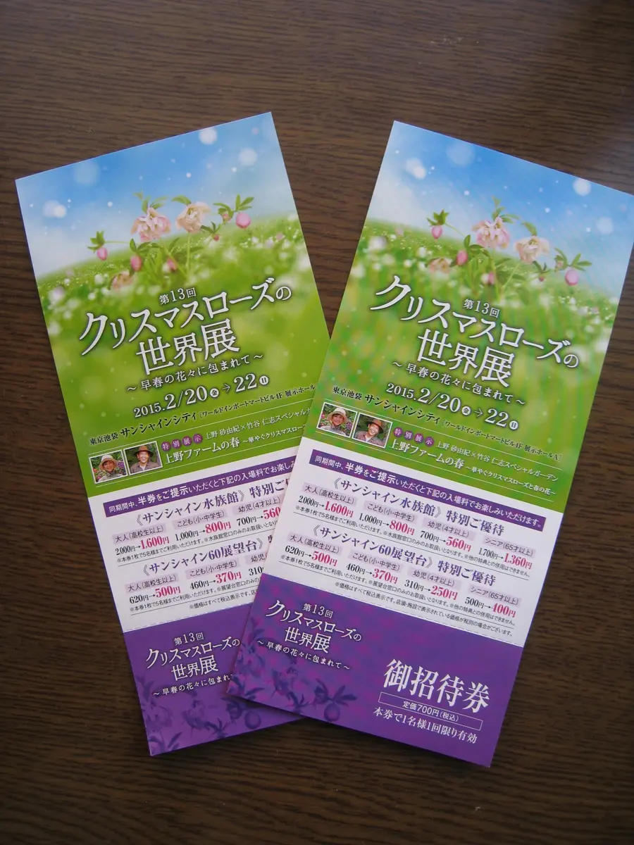 大大大吉 クリスマスローズ｜園芸日記by華｜みんなの趣味の園芸｜196321