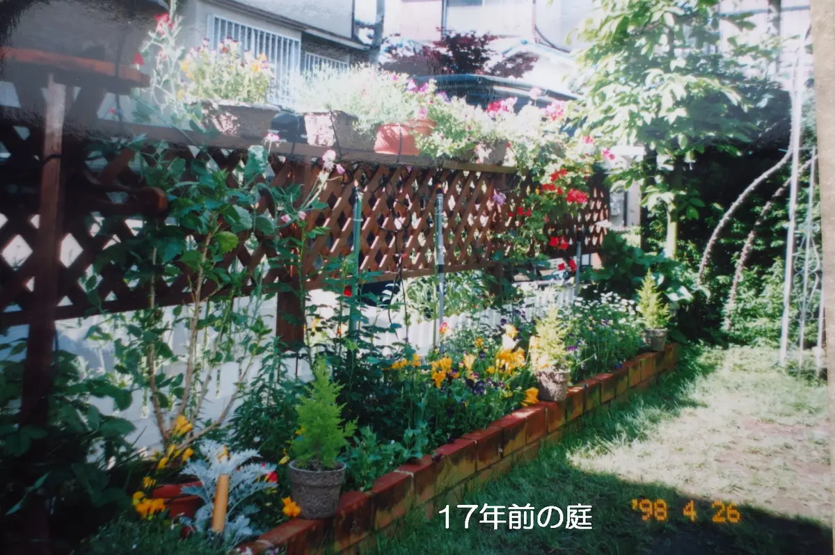 庭づくりの相談 (1969年) 庭づくりの相談 (1969年)