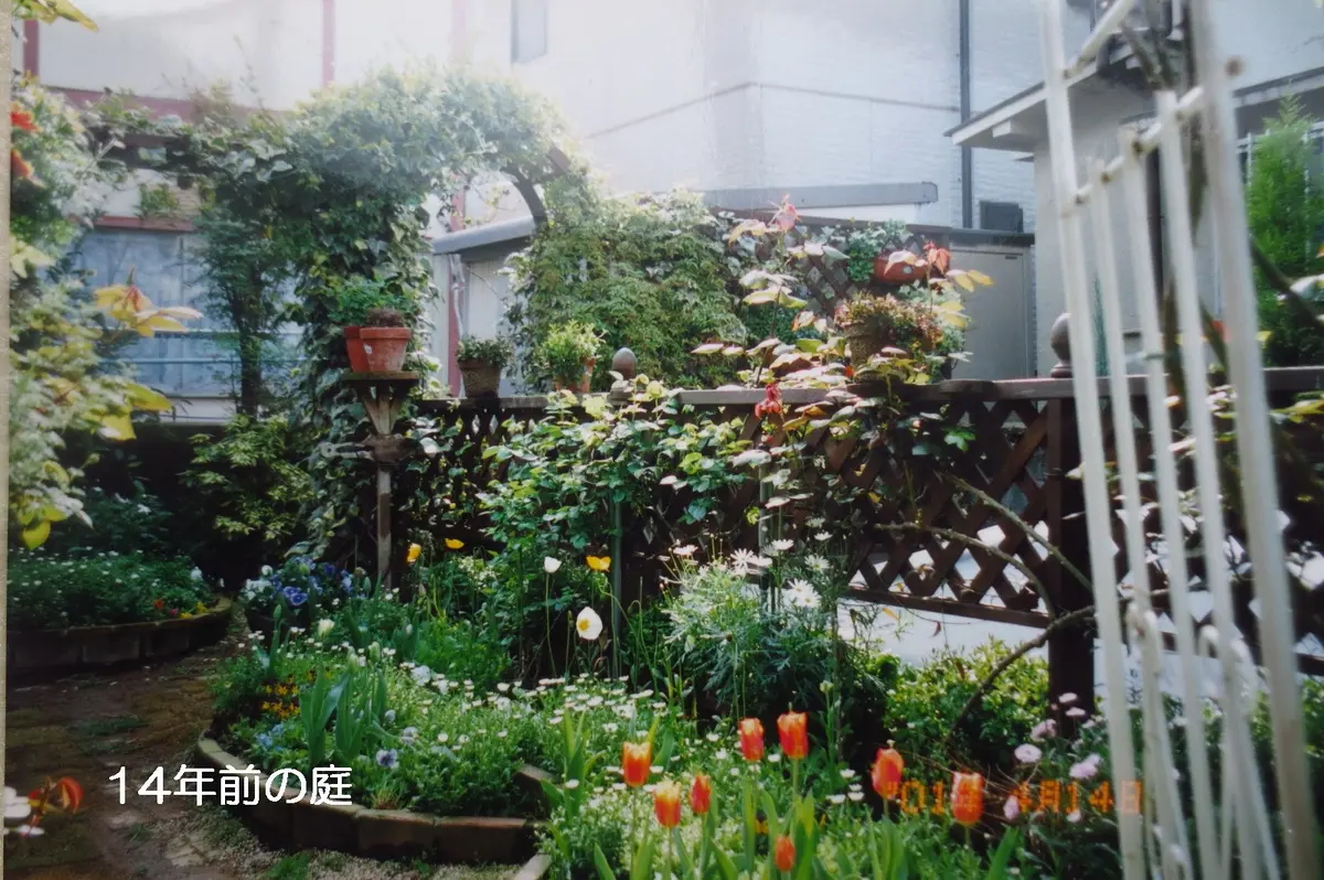 昔の庭の写真〔写真3枚目〕-はなさか じいじさんの日記｜みんなの趣味