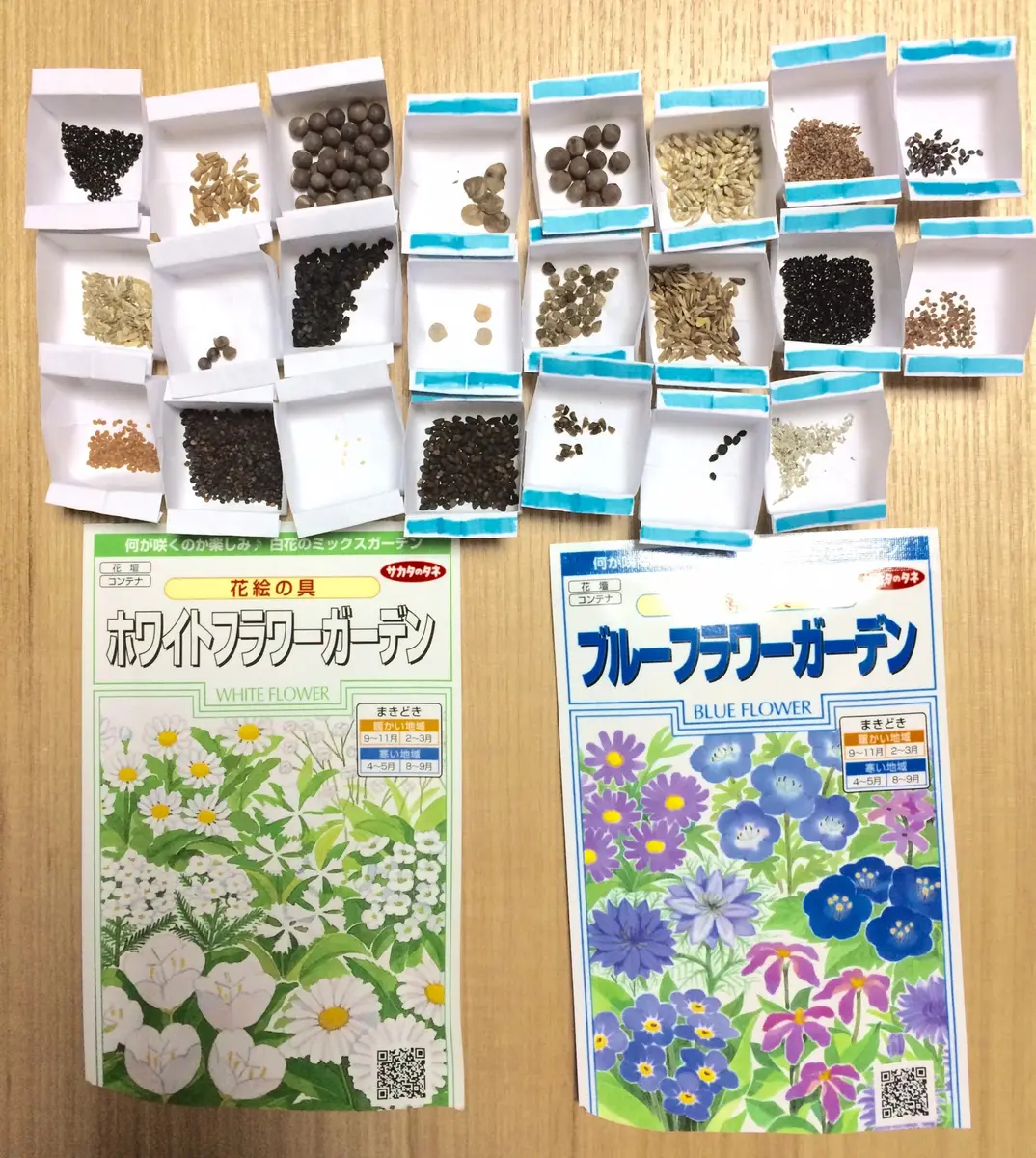 サカタのミックスシード｜園芸日記byよにふ｜みんなの趣味の園芸｜203296