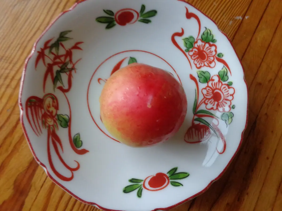 すももになります。 トリックスター / Ninja ZX-25R(23-25)レーシングフルエキゾースト