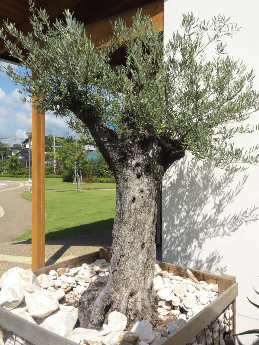 img_cache_d_253790_1_144336040